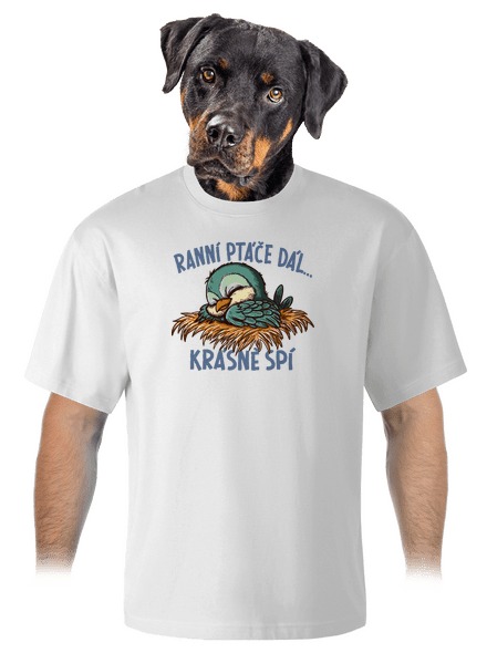 Ranní ptáče spí unisex tričko oversized White