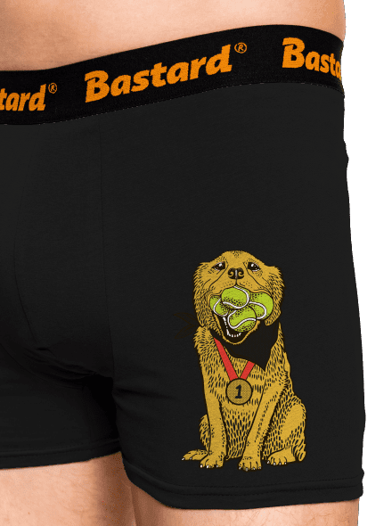 Zlatý retrívr boxerky Black