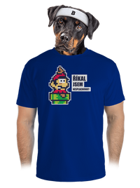 pánské sportovní tričko