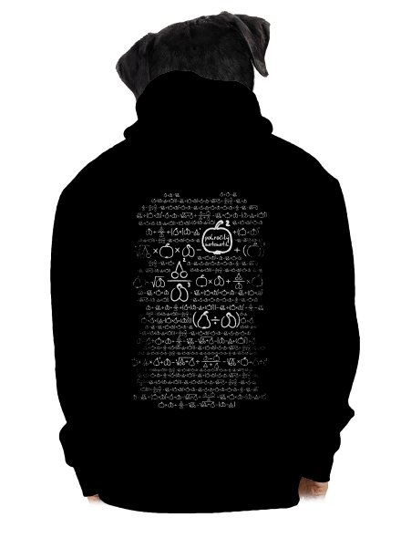 Matematik pánská mikina na zip Black