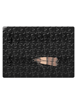 A - moll puzzle White