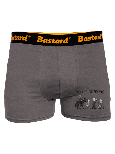 Evoluce prezidentů boxerky Gray Melange