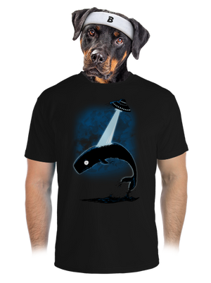 pánské sportovní tričko