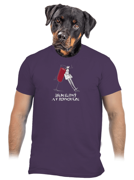 Klidná rovnováha pánské tričko Urban Purple