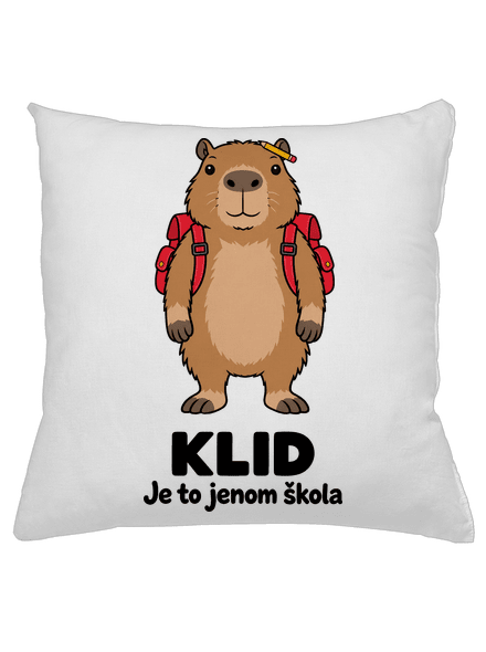Je to jenom škola polštář White