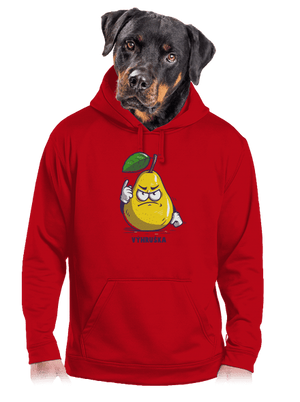 pánská mikina klokanka