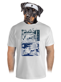 pánské sportovní tričko