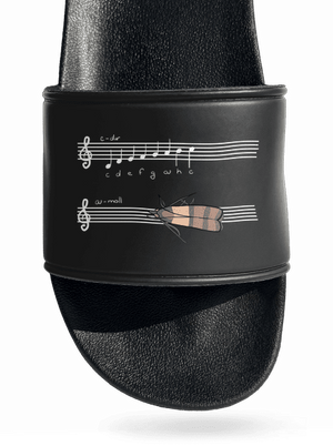 A - moll pantofle Black