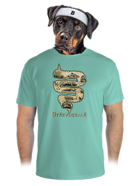 pánské sportovní tričko