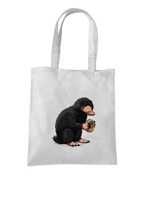 taška