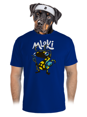 pánské sportovní tričko