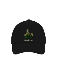 kšiltovka baseballka