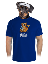 pánské sportovní tričko