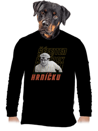 pánské dlouhý rukáv