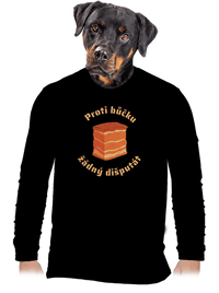 pánské dlouhý rukáv