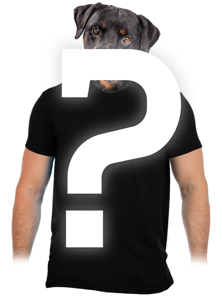 Náhodné pánské tričko