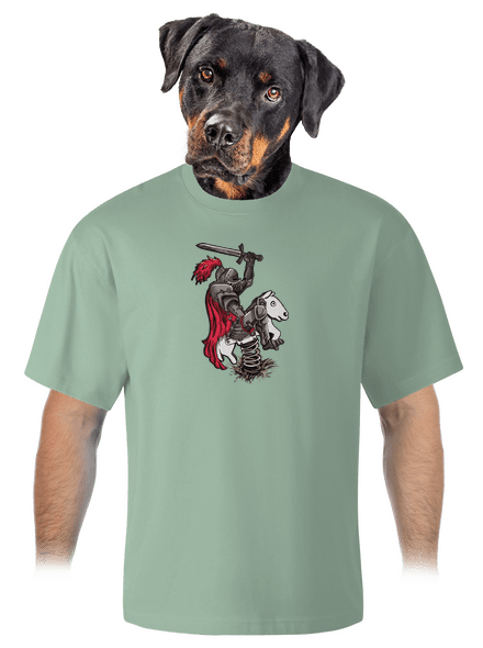 Rytíř unisex tričko oversized Sage