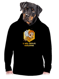 pánská mikina klokanka