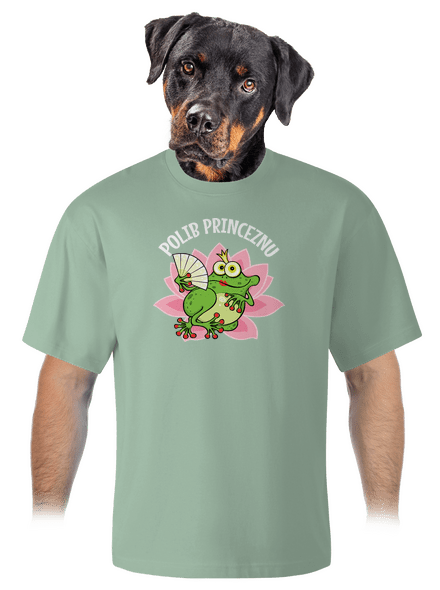 Polib princeznu a prince unisex tričko oversized Sage