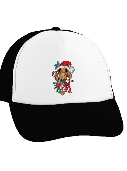 Vánoční vyžla kšiltovka truckerka Black cap
