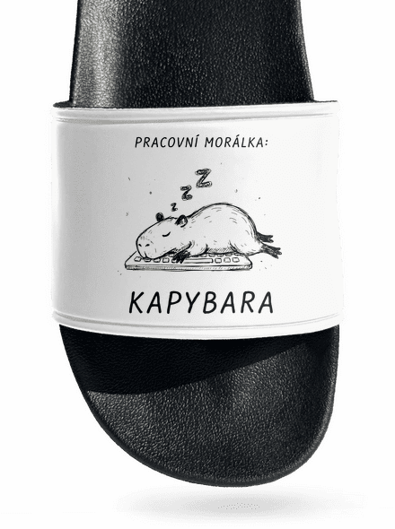 Pracovní morálka pantofle White