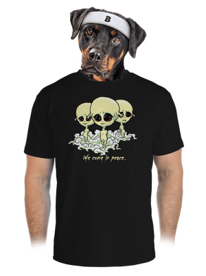 pánské sportovní tričko