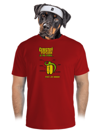 pánské sportovní tričko