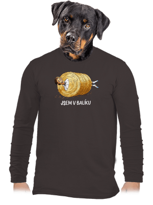 pánské dlouhý rukáv