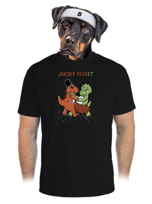 pánské sportovní tričko