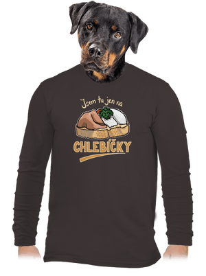 Na chlebíčky pánské dlouhý rukáv Bear Brown