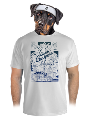 pánské sportovní tričko