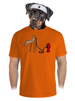 pánské sportovní tričko