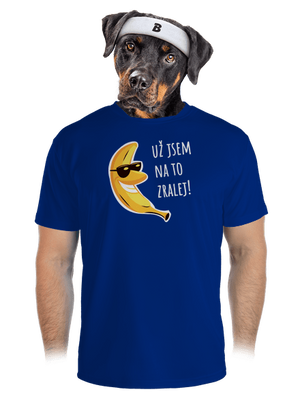 pánské sportovní tričko