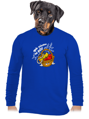 pánské dlouhý rukáv