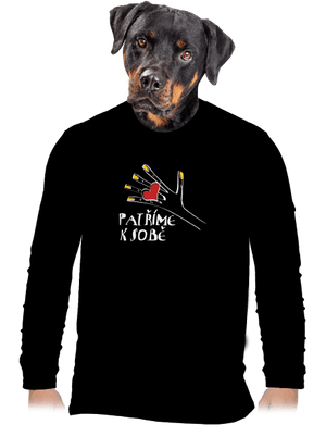 pánské dlouhý rukáv