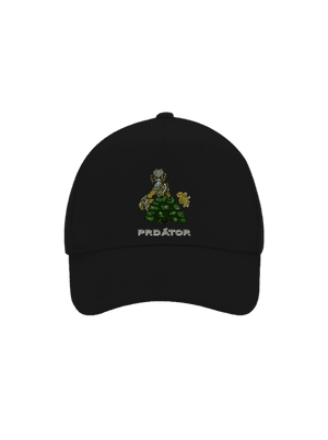 kšiltovka baseballka