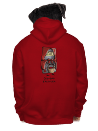 pánská mikina na zip