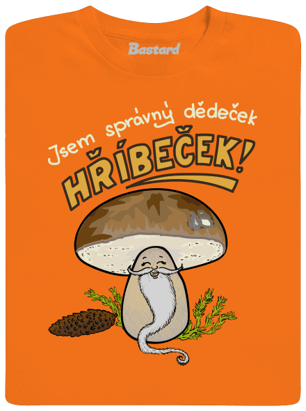Babka a hříbeček pánské tričko Orange