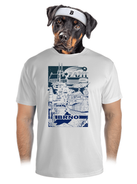 pánské sportovní tričko