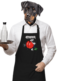 zástěra