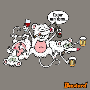 Kocour není doma