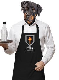 zástěra