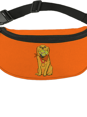 Zlatý retrívr ledvinka Orange