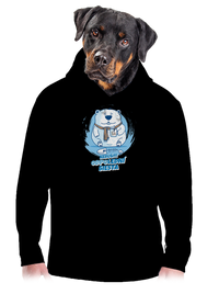 pánská mikina klokanka