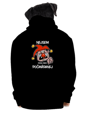 pánská mikina na zip