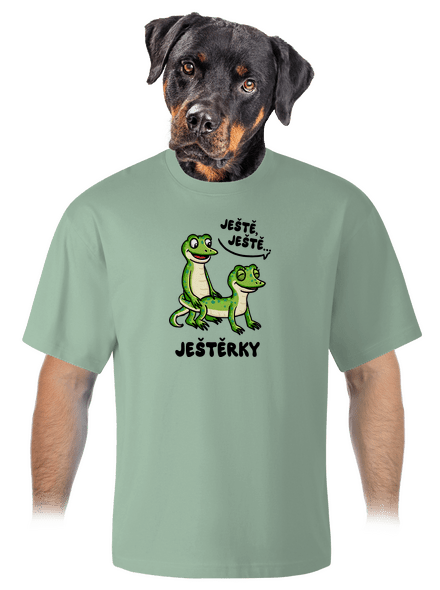 Ještě, ještě unisex tričko oversized Sage