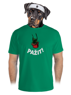 pánské sportovní tričko