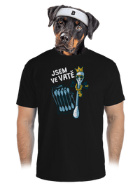 pánské sportovní tričko