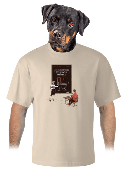 Lekce pro pány unisex tričko oversized Almond