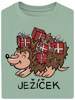 Ježíček unisex tričko oversized Sage